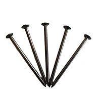 Construction Common Nail Iron Nail Factory 1/2" To 14"