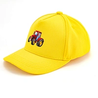 Baseball Cap With Embroidery Logo