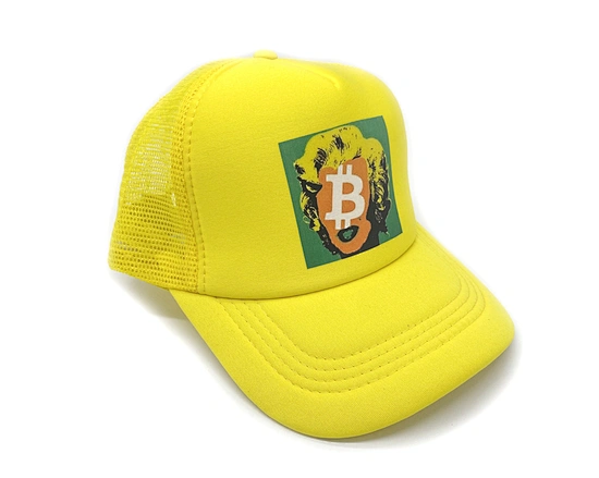 country trucker caps