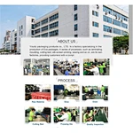 EVA case production process