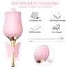 masturbation toy