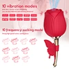 G Spot Clitoral Vibrator Waterproof Couples Vibrator Wearable Vibrator G Spot Bullet Vibrator Panty