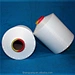 Polyester YARN