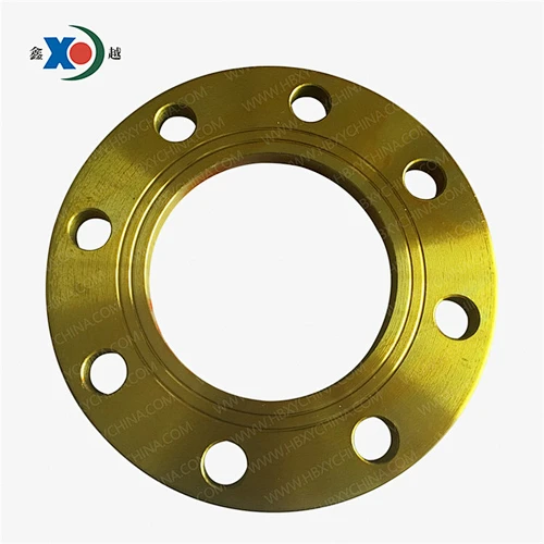 BS10 FLANGE