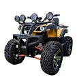 electric atv