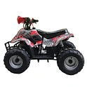 atv for sale