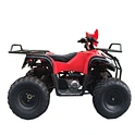 110cc atv bike