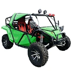 2 seater go kart