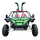 GY6 200cc air cooled gasoline gokarts 2 seater go kart