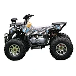 adult gas atv