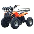 electric atv