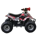 125cc 1+1 quad bike