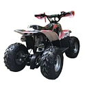 110cc quad bike