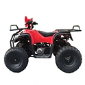 kids automatic atv bike