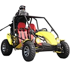 adult go kart