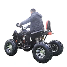 electric utv for sale