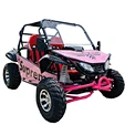 go karts for sale