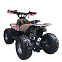 quad bike for sale