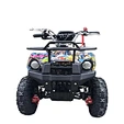 mini four wheeler