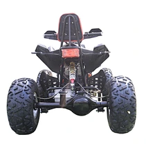 electric quad bikes