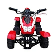 electric quad bike