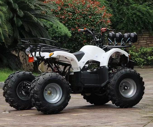 800w electric atv with 7inch tire