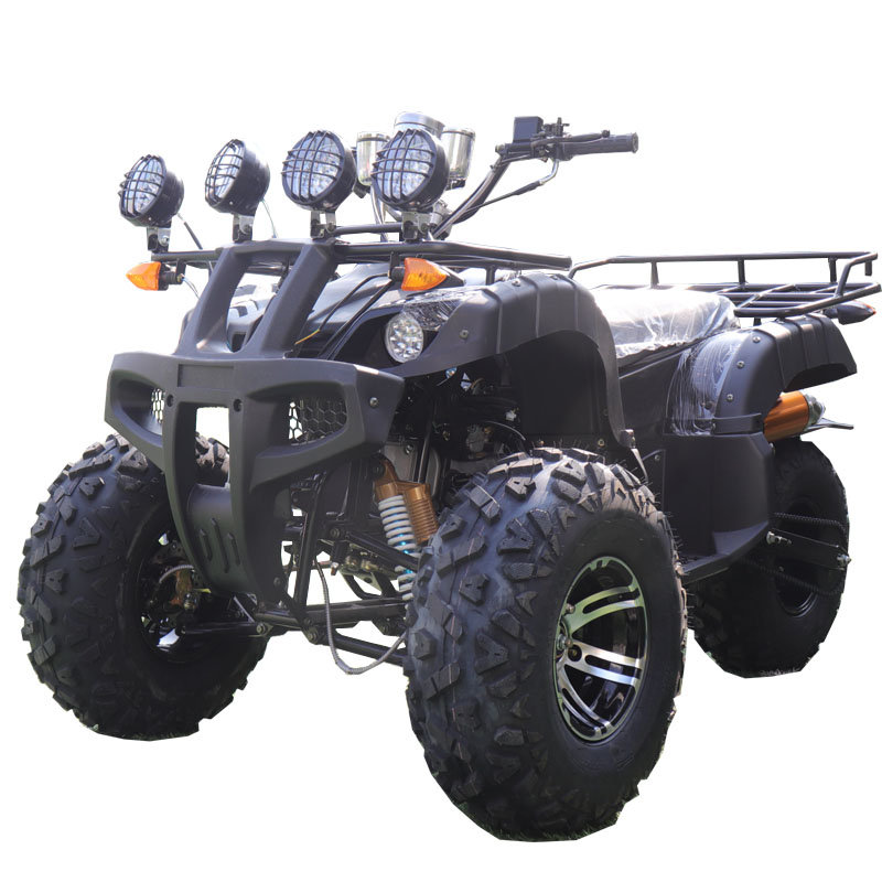 3 wheel bike 200cc
