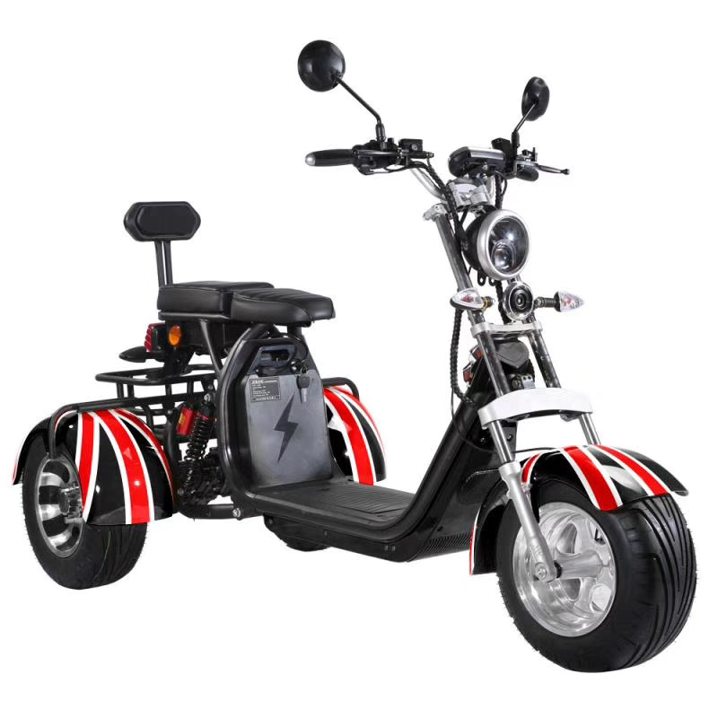 electric bicycle