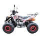 Vicoo 125cc automatic atv