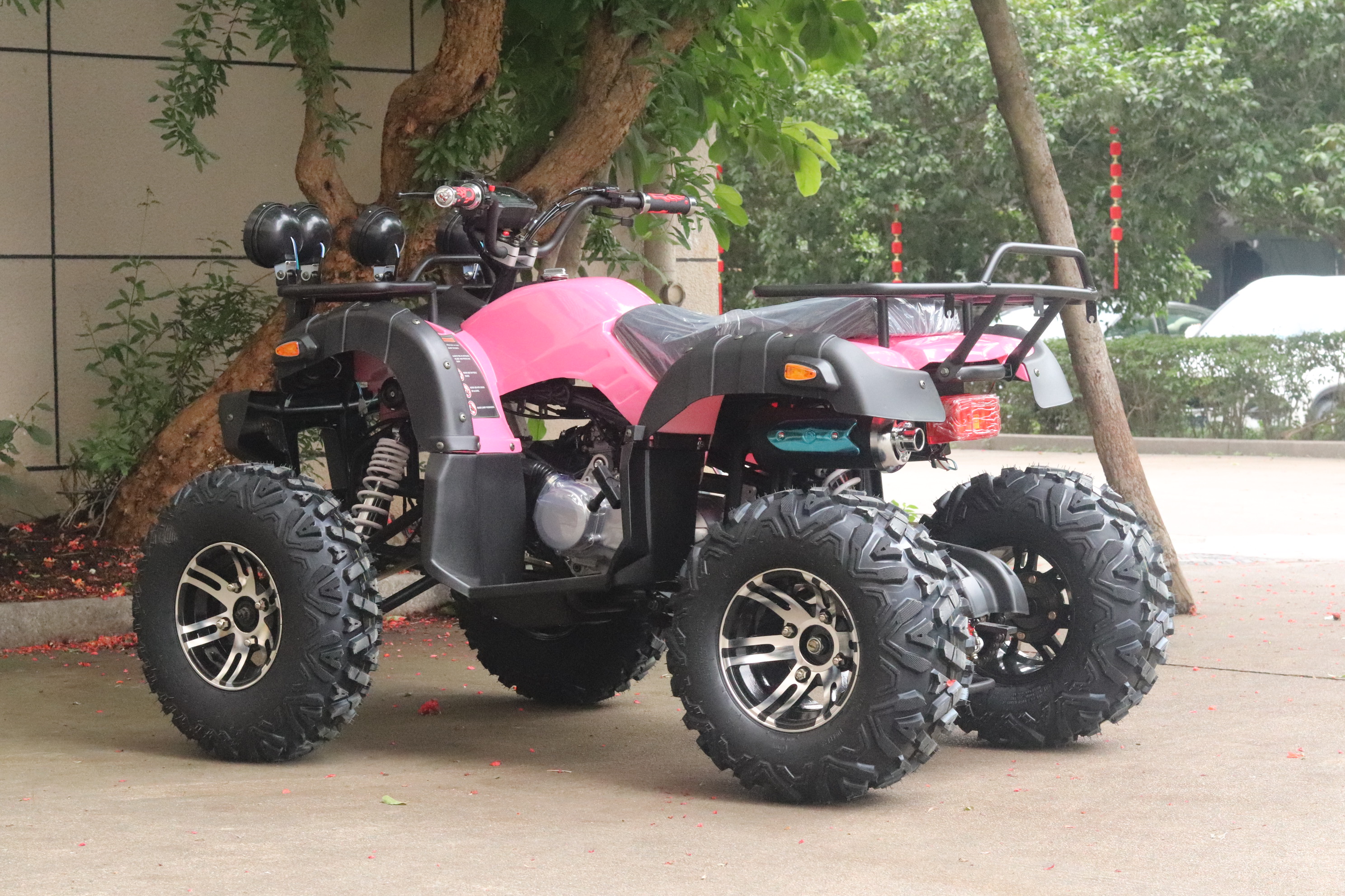 200cc automatic atv with 10inch alloy wheel