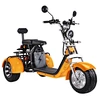 3 wheel trike 2000w