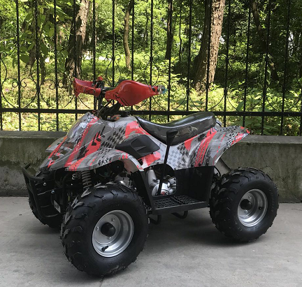 atv 110cc quad bike