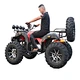 200cc gas powered atv for adults