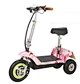 disable electric scooter