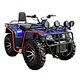 quad bike 300cc