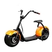 city coco scooter