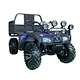 250cc farm buggy