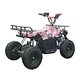 electric quad