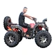 250cc gas powered atv for adults