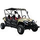 4 seater side by side 300cc
