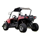 utv buggy 200cc