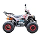 Vicoo 110cc automatic atv