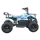electric 4 wheeler