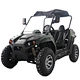 electric utv