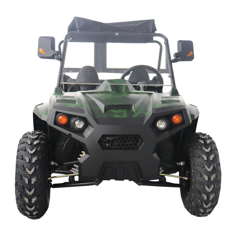 electric utv