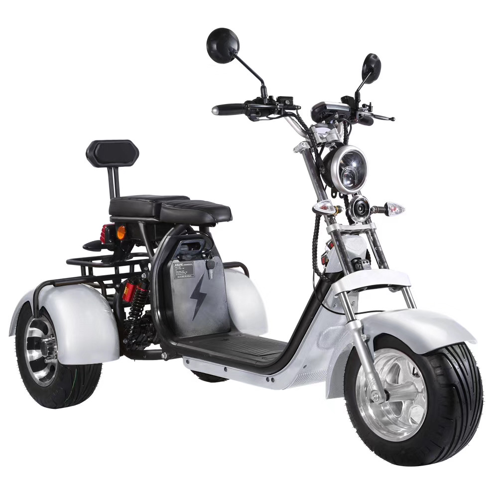 3 wheel trike 1500w