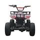 kids electric quad