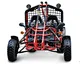 Petrol 200cc china adult go kart  pedal go kart