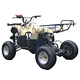 quad electric atv