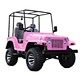 electric atv